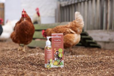 Image showing  IdaPlus OregaPlus 200ml Supplement for Poultry