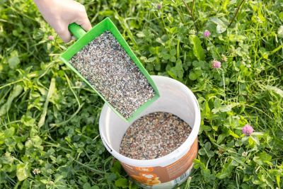 Image showing  IdaPlus Mineral Grit Mix 5kg