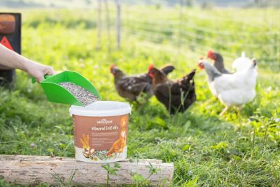 Image showing  IdaPlus Mineral Grit Mix 5kg