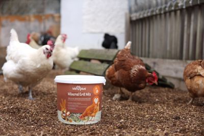 Image showing  IdaPlus Mineral Grit Mix 5kg