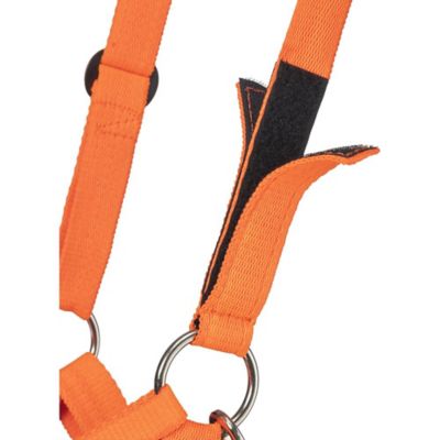 Image showing  Easy Breathe V-Nose Grazing Horse Muzzle