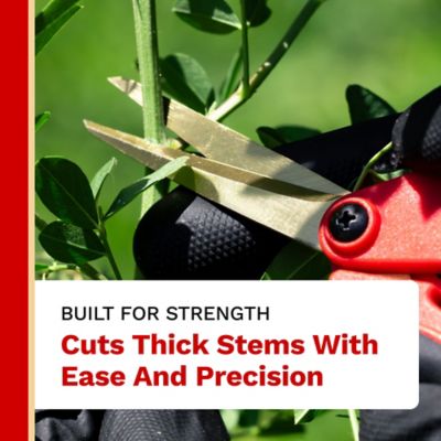 Image showing  6 in. Titanium Straight Blade Pruner, Premium Quality with Ambidextrous Low Profile Handles (1-Pack)