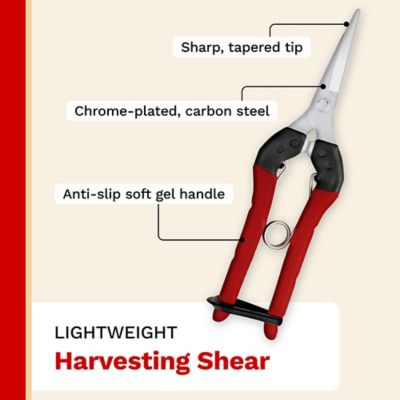 Image showing  7.9 in. Hardchrome Plated Japanese Carbon Steel Straight Blade Premium Harvesting Shear, 1 pk.