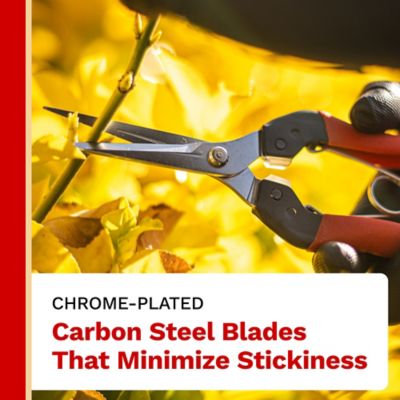Image showing  7.9 in. Hardchrome Plated Japanese Carbon Steel Straight Blade Premium Harvesting Shear, 1 pk.