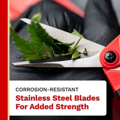 Image showing  6 in. Stainless Steel Straight Blade Pruner, Premium Quality with Anti-Slip Soft.-Gel Handles, 1 pk.