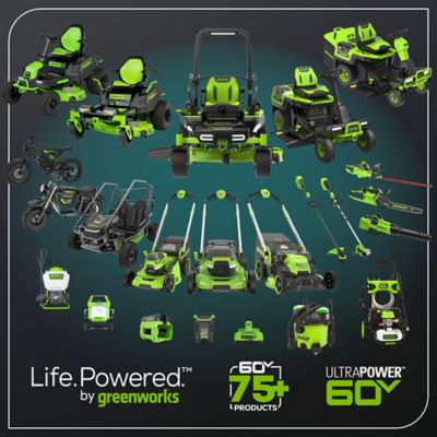 Image showing 8 th Greenworks 60V 2-Seater Go Cart with 8Ah Batteries & Charger