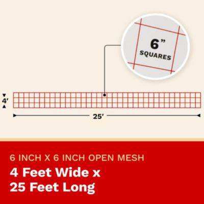 Image showing  4 ft. x 25 ft. Heavy-Duty Garden Trellis Netting, 6 in. Mesh Squares (1-Pack)