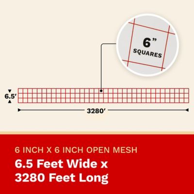 Image showing  6.5 ft. x 3280 ft. Heavy-Duty Garden Trellis Netting, 6 in Mesh Squares (1-Pack)