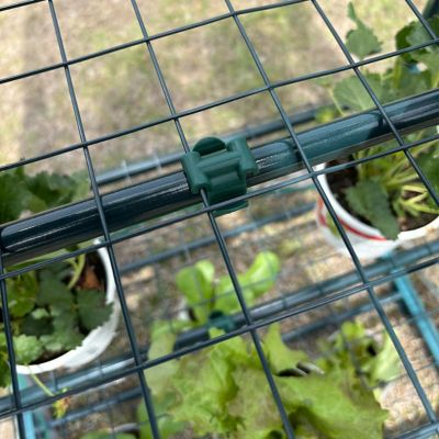 Image showing 5 th Garden Craft Greenhouse with Shelves