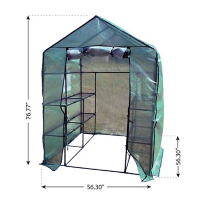 Image showing  Walk-in Greenhouse with Shelves