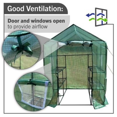 Image showing  Walk-in Greenhouse with Shelves