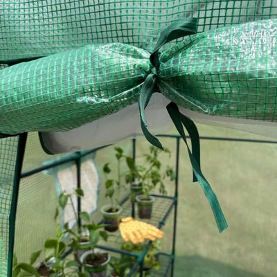 Image showing  Walk-in Greenhouse with Shelves