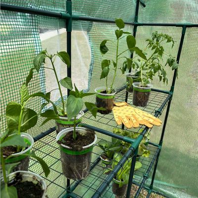 Image showing 5 th Garden Craft Walk-in Greenhouse with Shelves