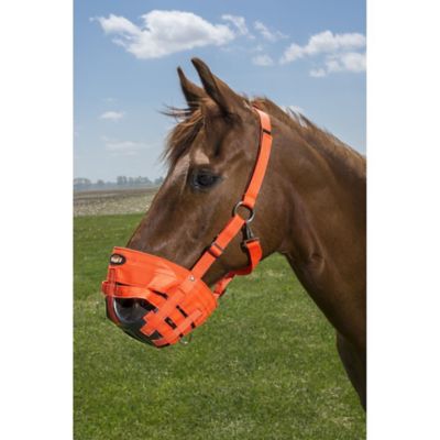 Image showing  Easy Breathe Grazing Muzzle