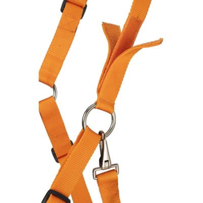 Image showing  Poly/Nylon Grazing Horse Muzzle with Halter