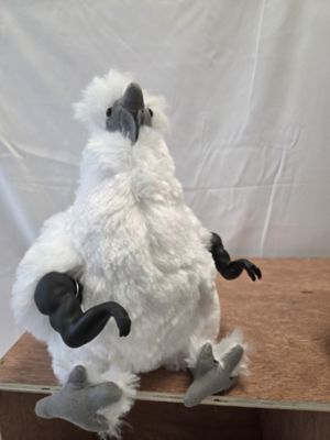 Image showing  Chicken Arms T-Rex