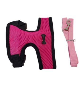 Image showing  Chicken Harness & Leash