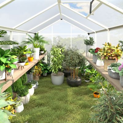 Image showing 7 th Veikous 6 x 10 FT Polycarbonate Walk-in Greenhouse For Outdoors with Adjustable Roof Vent, White