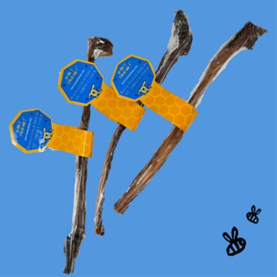 Image showing  Natural Honey Coated Water Buffalo 10 in. GULLET STICKS Bulk Dog Chew