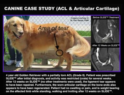 Image showing  SLIDE ha+ Canine 11 oz.