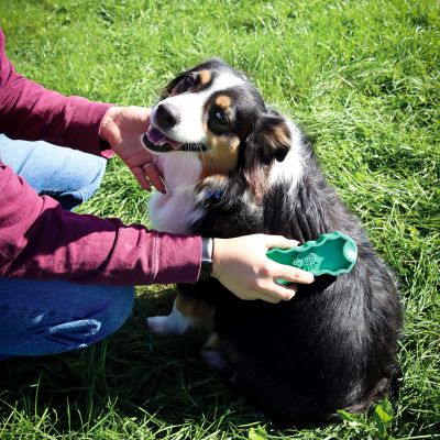 Image showing 6 th PetKORE GroomBug for Dogs, Medium