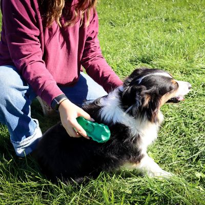 Image showing 7 th PetKORE GroomBug for Dogs, Medium