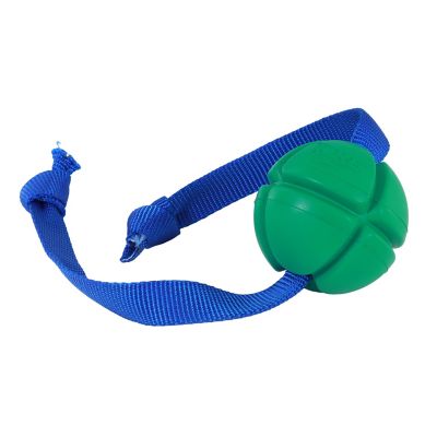 Image showing  FloTek Tug for Dogs, Large