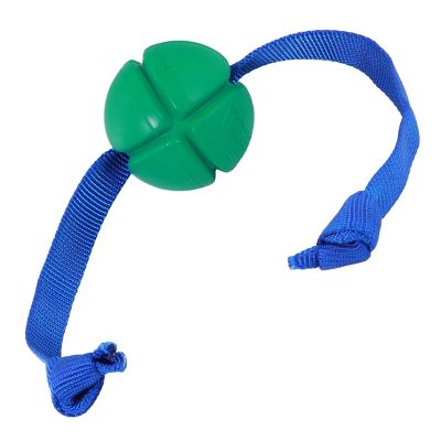 Image showing  FloTek Tug for Dogs, Large