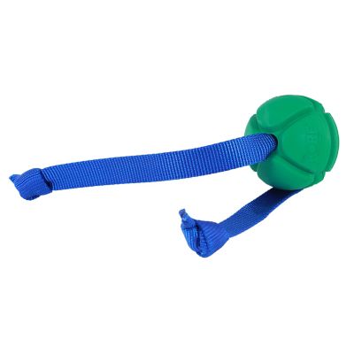 Image showing 5 th PetKORE FloTek Tug for Dogs, Large