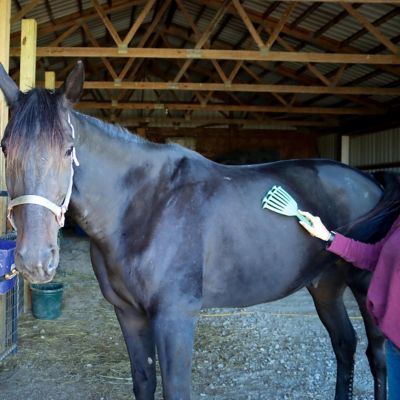 Image showing  GroomRaker for Equine Large