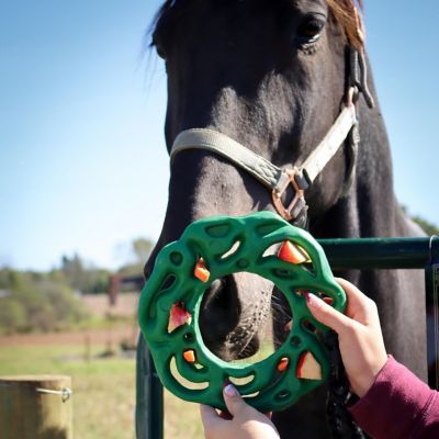 Image showing  Luna Ring with Hanging Kit for Equine Extra Large