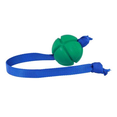 Image showing  FloTek Tug for Dogs, Medium