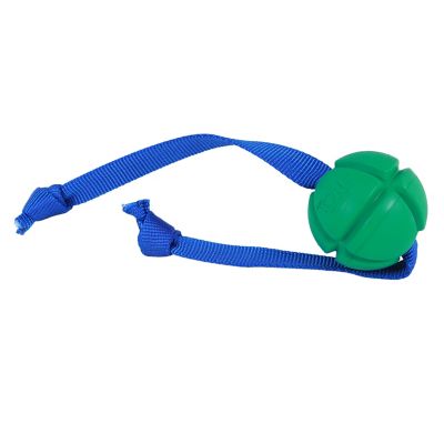 Image showing  FloTek Tug for Dogs, Medium