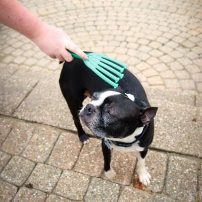 Image showing  GroomRaker for Dogs, Medium