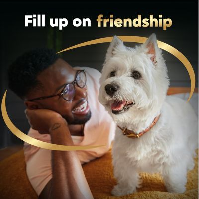 Image showing 6 th Cesar Wholesome Meals Chicken, Carrots, Barley and Green Beans Dog Food, 17.6 oz.