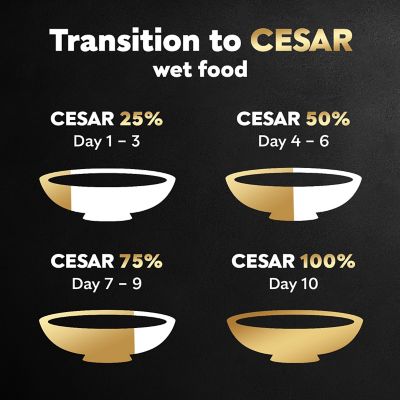 Image showing 8 th Cesar Wholesome Meals Chicken, Carrots, Barley and Green Beans Dog Food, 17.6 oz.