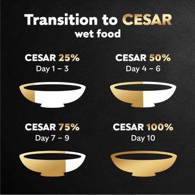 Image showing 6 th Cesar Wholesome Meals Beef, Chicken, Carrots, Barley and Green Beans Dog Food, 17.6 oz.
