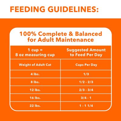 Image showing 8 th Cesar Wholesome Meals Beef, Chicken, Carrots, Barley and Green Beans Dog Food, 17.6 oz.
