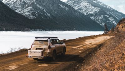 Image showing  PRO Cargo Carrier