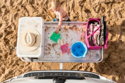 Image showing  Scout with Straight Tongue