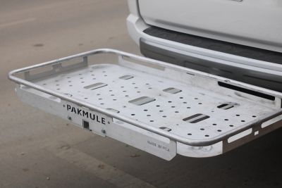 Image showing  Scout with Straight Tongue