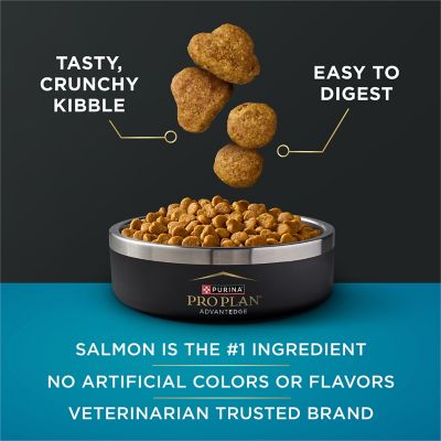 Image showing  AdvantEDGE Digestive Support+ Salmon & Rice Dry Cat Formula Small