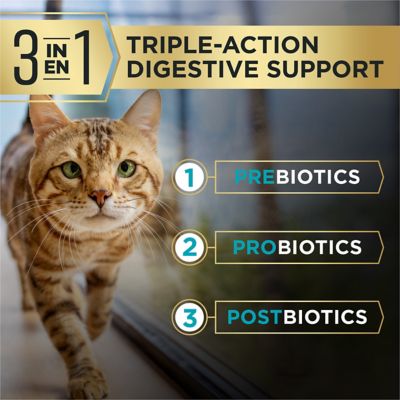 Image showing  AdvantEDGE Digestive Support Plus Adult Salmon and Rice Formula Dry Cat Food