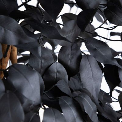 Image showing  7 ft. Artificial Halloween Black Ficus Tree with Natural Trunk