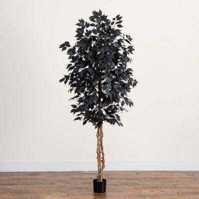 Image showing  7 ft. Artificial Halloween Black Ficus Tree with Natural Trunk