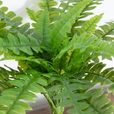 Image showing  19 in. UV Resistant Artificial Boston Fern (Indoor/Outdoor) - Set of 2