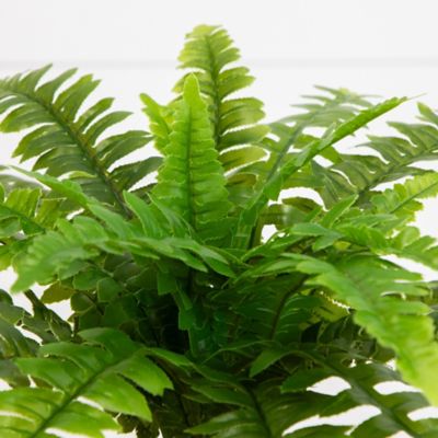 Image showing  19 in. UV Resistant Artificial Boston Fern (Indoor/Outdoor) - Set of 2