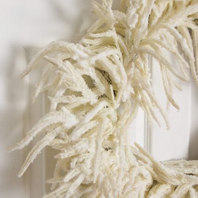Image showing  24 in. Artificial Real Touch White Norfolk Island Pine Wreath with Natural Look