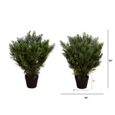 Image showing  2 ft. Artificial Cedar Tree UV Resistant (Indoor/Outdoor) - Set of 2