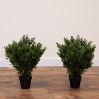 Image showing  2 ft. Artificial Cedar Tree UV Resistant (Indoor/Outdoor) - Set of 2